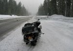 snow2small_zpsef147aae.jpg